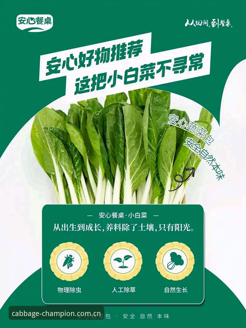 冠军白菜平台一步到位：实测网页登录、比分推送与备用入口全攻略